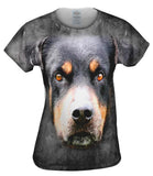 Rottweiler Dog Face