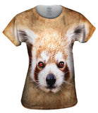 Red Panda Face
