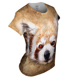 Red Panda Face
