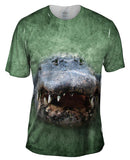 Alligator Face Swamp