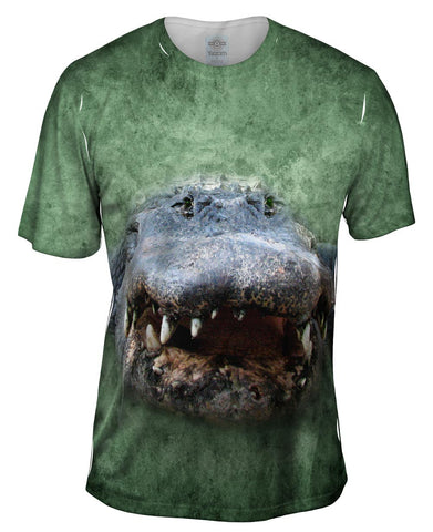Alligator Face Swamp