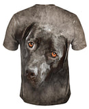 Black Labrador Dog Face