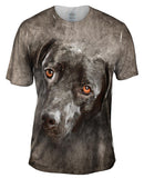 Black Labrador Dog Face