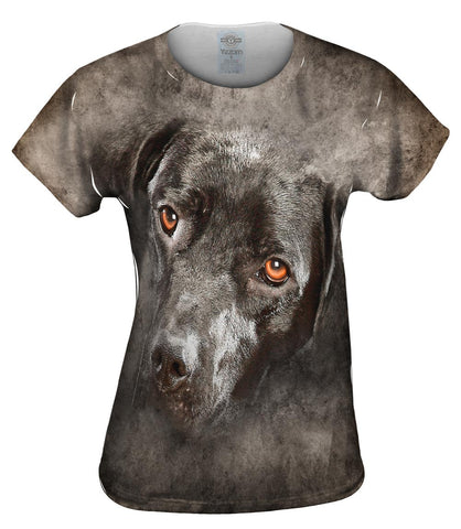 Black Labrador Dog Face