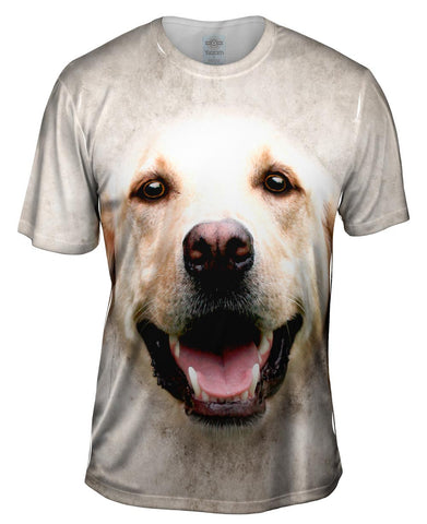 Happy Golden Labrador Dog Face