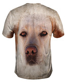 Golden Labrador Dog Face