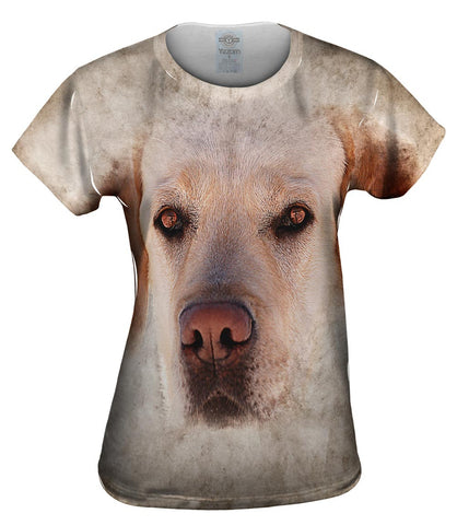 Golden Labrador Dog Face