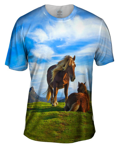 Horse Calf Mountain