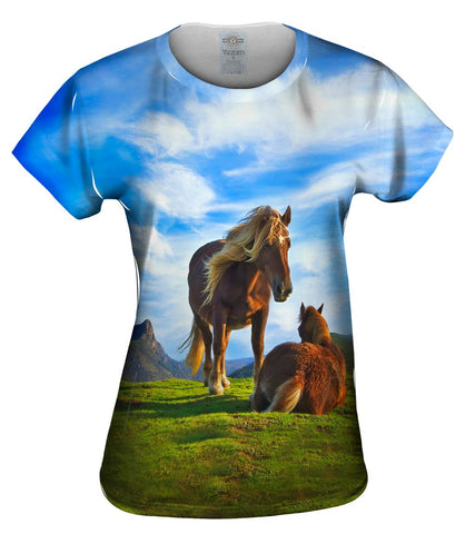 Horse Calf Mountain
