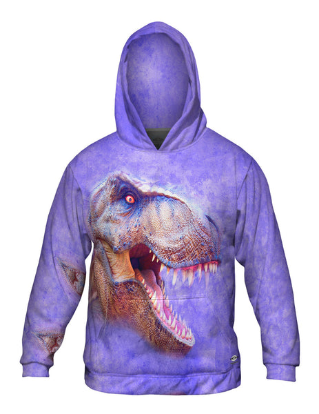 T Rex Dinosaur Face Mens Hoodie Sweater