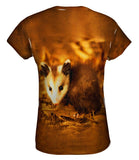 Young Virginia Possum