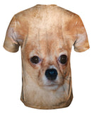 Furry Chihuahua Dog Face