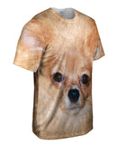 Furry Chihuahua Dog Face