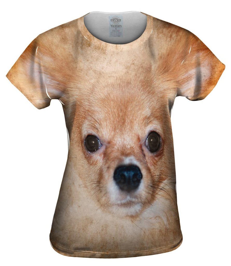 Chihuahua furry outlet