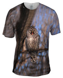 Laughing Barred Owl