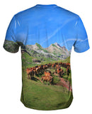 Horse Herd Spanish Pyrenees