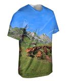Horse Herd Spanish Pyrenees