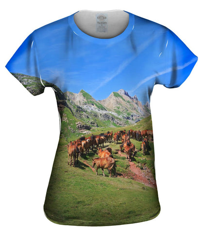 Horse Herd Spanish Pyrenees