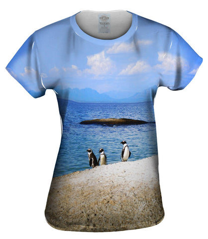 Salimfadhley African Penguins
