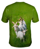 Goat Parade