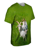 Goat Parade