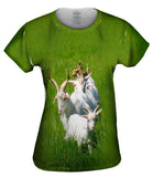 Goat Parade