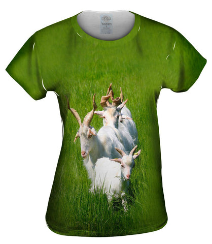 Goat Parade