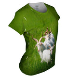 Goat Parade