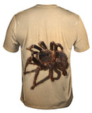 Brazilian Tarantuala