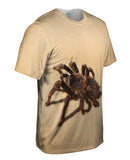 Brazilian Tarantuala