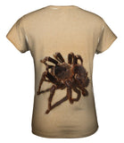 Brazilian Tarantuala