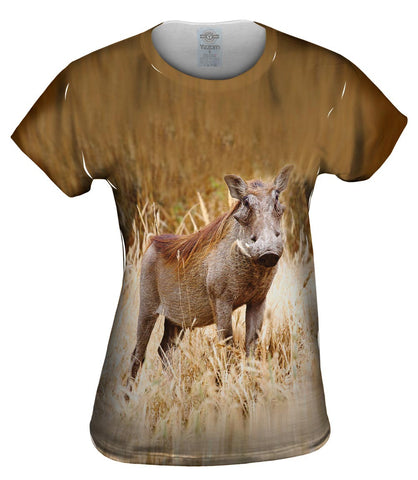 Wart Hog Stare
