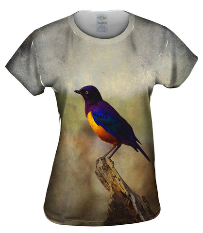 Tanzania Starling Bird