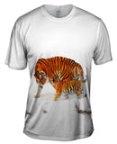 Amur Tiger Mother Snow Play