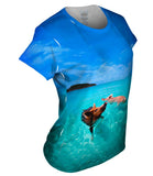 Tropical Swimming Pigs