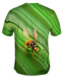 Yellow Jacket Wasp Rest