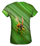 Yellow Jacket Wasp Rest