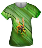Yellow Jacket Wasp Rest