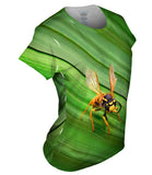 Yellow Jacket Wasp Rest