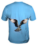 Osprey Nasa