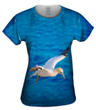 Morus Bassanus Seagull Soar