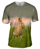 Tasmanian Easter Bunny