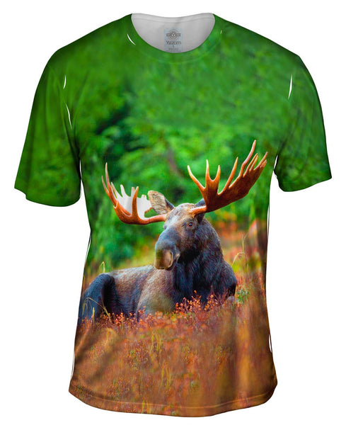 Moose Majestic Antlers Mens T-Shirt