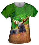 Moose Majestic Antlers