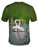 Swan Love Times