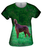 Setter Dog On The Scent