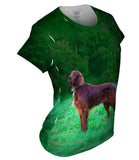 Setter Dog On The Scent