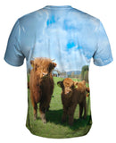 Highland Furry Cattle