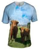 Highland Furry Cattle