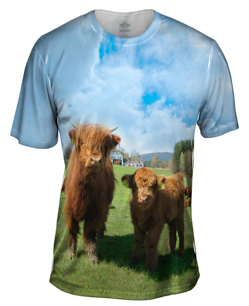Highland Furry Cattle Mens T-Shirt